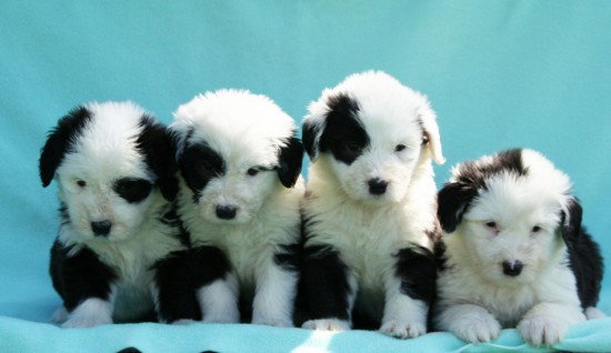 5-Weeks--girls-3-8-4-7