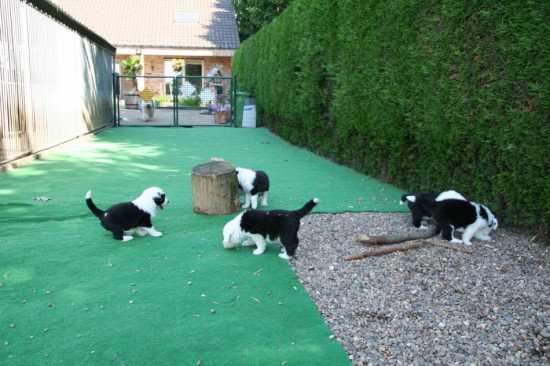 5,5, weeks all have fun