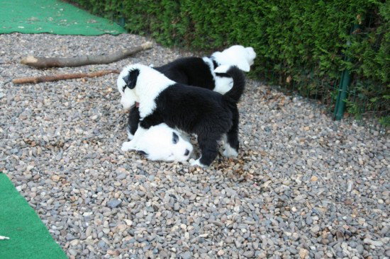 5,5, weeks having fun