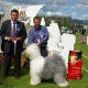 Hightea-aus-dem-Elbe-Urstromtal,-BOB,-BIG-2,-Clonmel-Irl,-judge-Mr.-L. Zoubodulis/Gr