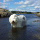 Jette-Joop--Lilleskagen-at-Tjøme-Summer-2012