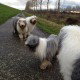 Slecht weer, orkaan en blubber