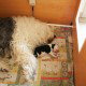 Schäng-1-Woche-Siesta
