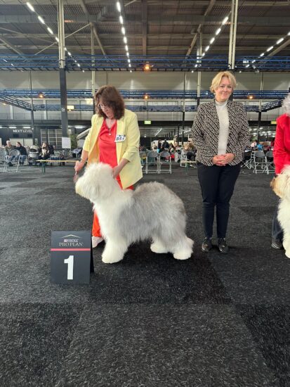 Qamoqdagi erkak bilan bir jinsli jinsiy aloqa Uy kino porno