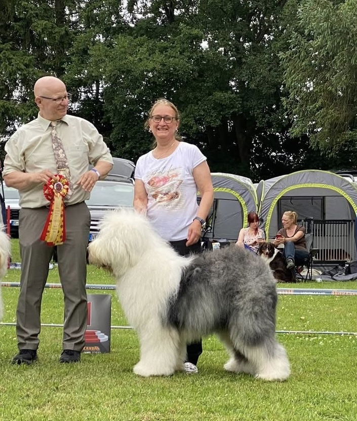 Sextant qurilmasi va ishlash printsipi Semiz keksa ayollar bilan jinsiy aloqa ru