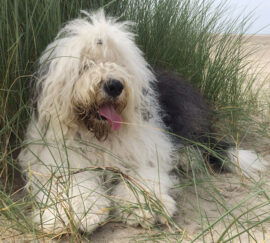 Never Enough aus dem Elbe-Urstromtal