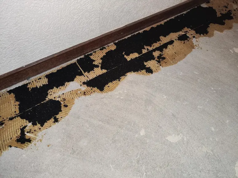 Vloerbedekking laten verwijderen