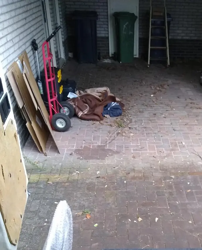 Ik zoek een bedrijf voor woningontruiming in Assen