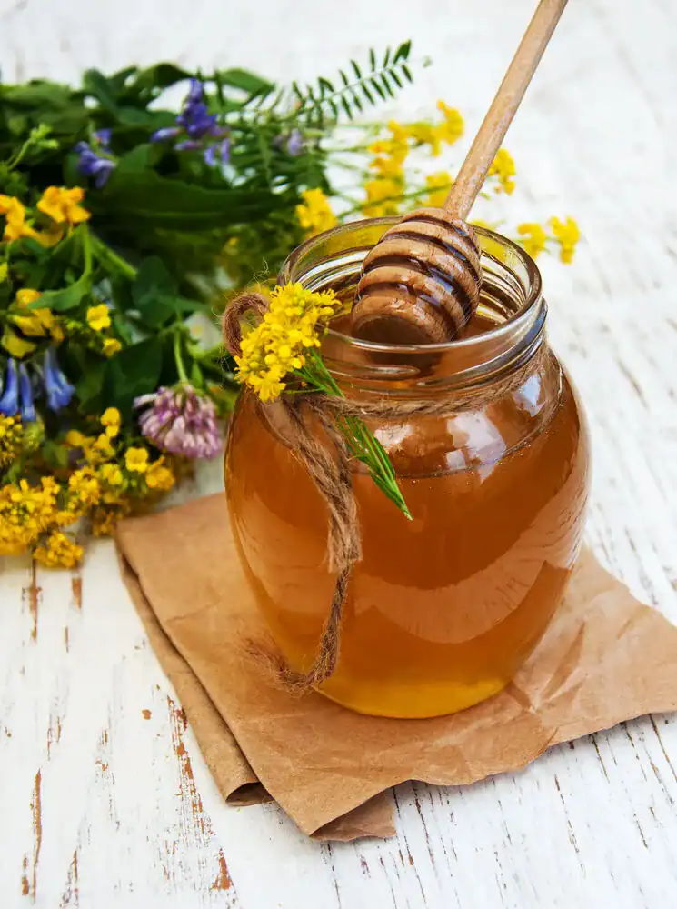 7 natuurlijke middelen tegen allergie