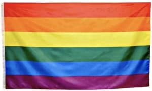 Pride vlag met kleuren rood, oranje, geel, groen, blauw en paars.