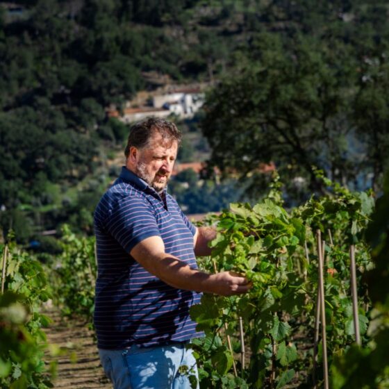Quinta da Lila Monchique - Vineyard Exterior Team