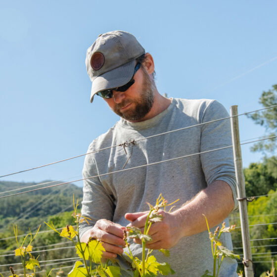 Quinta da Lila Monchique - Vineyard Exterior Team