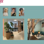 studiopauke optimalisatie wachtruimte met blauwe kleur, planten en vilten roomdivider