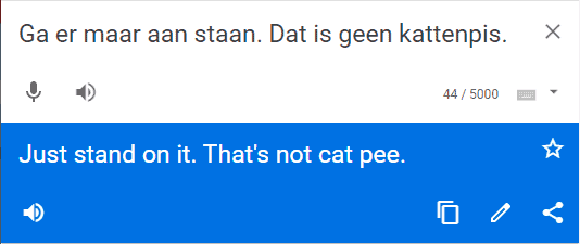 Een tekst vertalen met Google Translate.