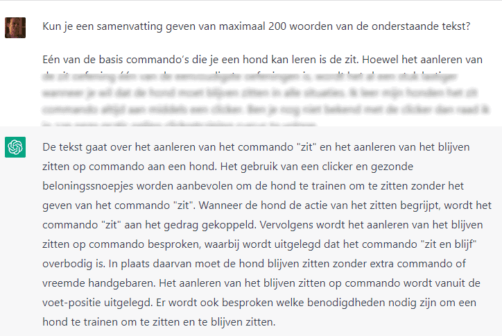 Chat maakt een samenvatting van een blogartikel.