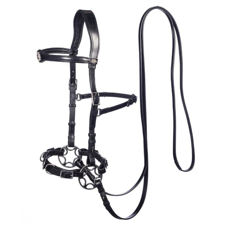 Caval black front