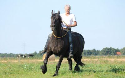 Bitloos rijden