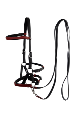 kirsche DSC00967 optie 3 png