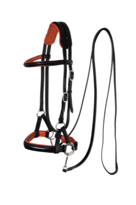 pardoes de luxe black orange DSC00537 png